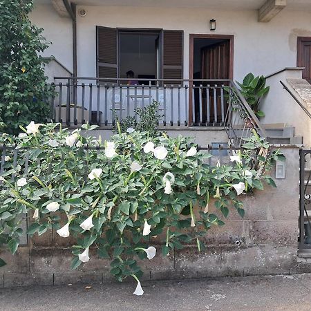Ferienwohnung A Casa Ida Bagnoregio Exterior foto